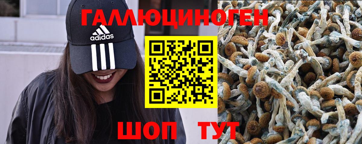 Полевской  Галлюциногенные грибы мухоморы  Вход с VPN 